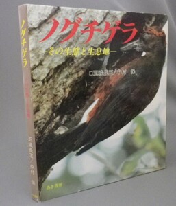 ☆ノグチゲラ　その生態と生息地　　玉城長正・中村保　（鳥・天然記念物・琉球・沖縄）