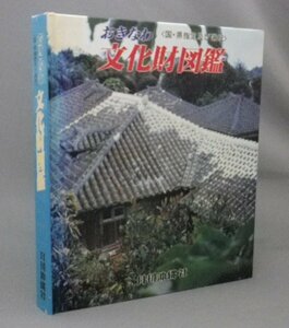 ☆おきなわ文化財図鑑　　（沖縄文化財図鑑・琉球・沖縄）