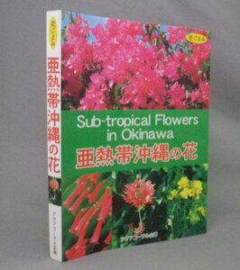 ☆花ごよみ　亜熱帯沖縄の花　　（植物・図鑑・琉球・沖縄）