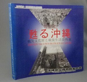 ☆特別展　甦る沖縄　戦災文化財と戦後生活資料展　　（図録・琉球・沖縄）