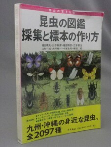 ☆昆虫の図鑑　採集と標本の作り方　（琉球弧・九州・沖縄）