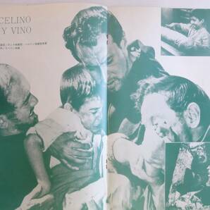 1966年映画パンフ 汚れなき悪戯 監督：ディスラオ・バホダ／パブリート・カルボ、ラファエル・リベリュス A4判 ニュー東宝 古品の画像8