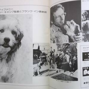 ２冊 映画パンフ 名探偵ベンジー1981年 Oh！Heavenly Dog／ベンジーの愛 1977年For The Love of Benji 監督 ジョー・キャンプ 東宝 A4 古品の画像9