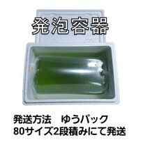 タマミジンコ50g+α150,000匹「めだか金魚熱帯魚の生き餌に！」_画像3