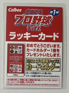 カルビー プロ野球チップス2024 第1弾 ラッキーカード