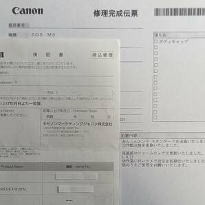 CANON キャノン EOS M5 ミラーレス おまけ付き の画像8