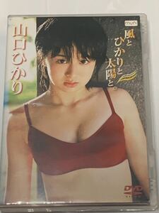 山口ひかり 風とひかりの太陽と。 レンタル落ち ジャケット難有り