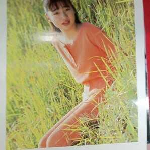 西尾悦子（悦子） 1990年カレンダー 表紙含め全7枚の画像4