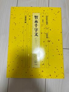 書道技法講座 新装版 (２６) 智永千字文：草書 隋 智永／近藤攝南 (著者)