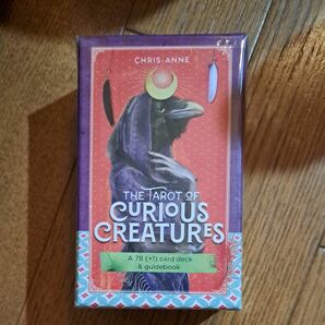 正規品タロット The Tarot of Curious Creatures 【タロット占い解説書付き】