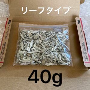 激安お買い得☆40g＜浄化☆邪気祓い☆カリフォルニア産ホワイトセージリーフ＞