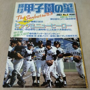 輝け甲子園の星　1983年　第55回センバツ高校野球　池田夏春連覇