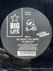 【 Remixed by Little Louie Vega！！ 】2 In A Room - Do What You Want ,Big Life - BLR 20T ,Vinyl ,12, 45 RPM ,Stereo, UK 1990