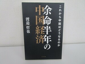 余命半年の中国経済 これから中国はどうなるのか j0604 C-3