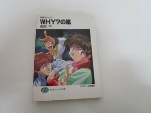 WHYの嵐 (富士見ファンタジア文庫 11-27 無責任キッズ 2) j0604 C-6