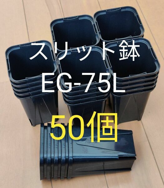 スリット鉢 7.5cm 黒 角型 ロングタイプ EG-75L型 50個