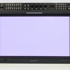 SONY BVM-L170 17型液晶マスターモニター BKM-243HS 2枚 BKM-227W (コンポジット/D1 DualLink HD-SDI/HDMI/DVI) 1080/60p 動作美品 *401881の画像3