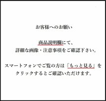 【扇屋】奥野美峰「時代 竹蒔絵 硯箱」内梨地 共箱 幅 約21.5cm×約18cm 高さ 約3.5cm 木製 書道具 文庫 文箱 A-2_画像10