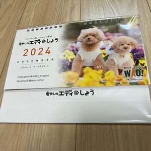 2024.4月始まりカレンダー 卓上カレンダー