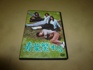 DVD　岡本喜八監督作品　「青葉繁れる」　草刈正雄　秋吉久美子