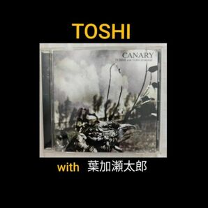 【Toshi】CANARY TOSHI with TARO HAKASE