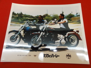 91619[ King *ob* Harley ] large size s Chill Charlie * scene Linda *fio Len Tino Rally * fur gason