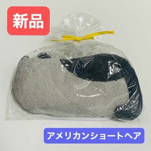 冷やっこいピロー アメリカンショートヘア 枕 保冷剤 暑さ対策