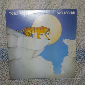 TYGERS OF PAN TANG SPELLBOUND レコード　LP