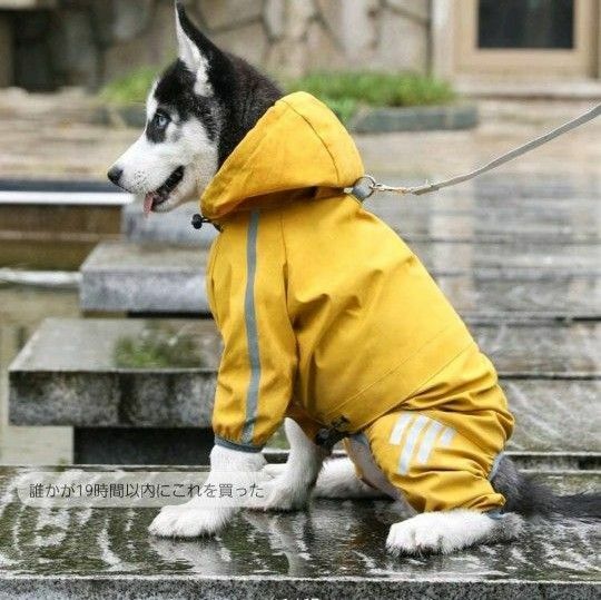 小型犬レインコート サイズＬ