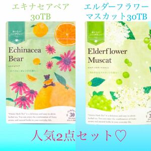 生活の木 おいしいハーブティー 人気2点セット　ノンカフェインのお茶