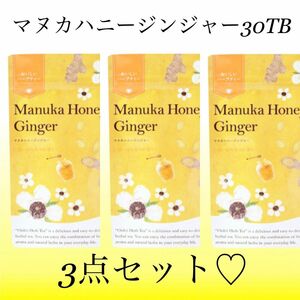 マヌカハニージンジャー　30袋入り×3点セット　生活の木おいしい ハーブティー