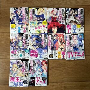 聖剣学院の魔剣使い （ＭＦ文庫Ｊ　し－０４－２８） 志瑞祐／著　1〜11巻　10巻無し