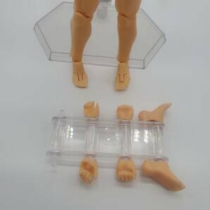 マックスファクトリー figma archetype next she flesh color ver. 男性 ノンスケール ABS&PVC製 塗装済み可動フィギュアの画像2