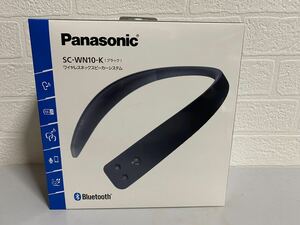 Panasonic