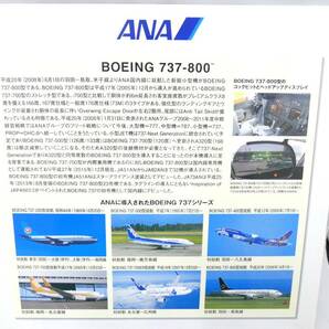 28563 ★ 全日空 ANA BOEING 737-800 NH20071 1:200スケール JA73AN 飛行機 フィギュア 模型 ★ 長期保管品の画像3