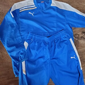 値下げ交渉 PUMA / プーマ Esito King トライアル トップ & パンツ ロイヤル XO / O 652674 652675 03 検) TOP PANTS ROYAL BLUE ブルー 青