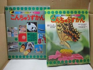 講談社の幼稚園百科 こんちゅうずかん 昭和48年初版発行 レトロ絵本 当時物 外函あり 昆虫 図鑑 生き物