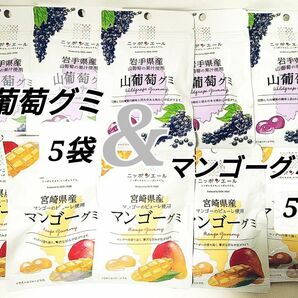 10袋セット　ニッポンエール　JA全農ブランド　47都道府県の日本産