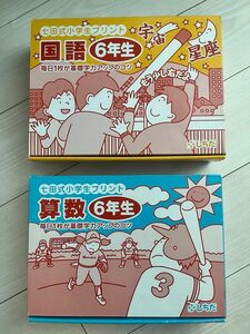 七田式プリント　6年生　国語と算数セット