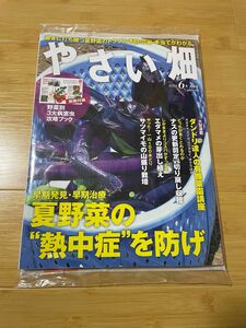 やさい畑　2024年6月号　未開封