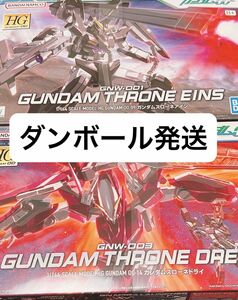 【新品未開封・ダンボール発送】HG 1/144 ガンダム スローネ アイン & ドライ プラモデル 2点セット