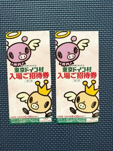 東京ドイツ村　 入園ご招待券　2枚セット