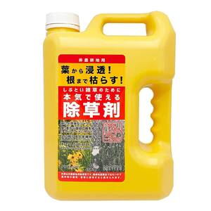 根まで枯らす 除草剤 非農耕地用 本体ボトル シャワータイプ 4L 液体 強力 業務用 雑草対策 散布 大容量 スギナ しぶとい雑