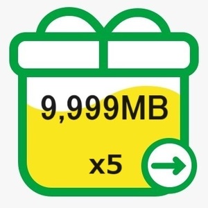 mineo マイネオ パケットギフト 約50GB 9999MB*5