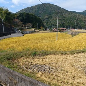 令和5年産 広島県産ヒノヒカリ 精米20kg 送料込みの画像6