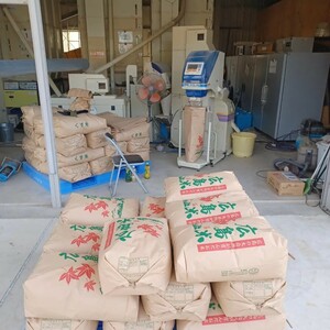 令和5年産　広島県産あきさかり　精米20kg　送料込み