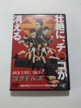 DVD【BACK STREET GIRLS ゴクドルズ】 レンタル キズ多数 白洲迅 柾木玲弥 花沢将人 岡本夏美 松田るか 坂ノ上茜 浅川梨奈 大杉漣 岩城滉一_画像1