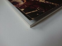 beatleg magazine vol.37 2003.8★レッド・ツェッペリン アーカイヴ音源発売記念特集 Led Zeppelin / The Who / Dream Theater / Nirvana_画像5