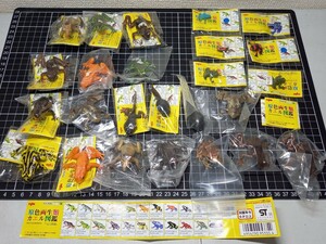 カプセルトイ YUJIN 原色両生類カエル図鑑 25点 ダブりあり ユージン