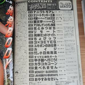 週刊ヤングマガジン 2002年(平成14年)6月3日 NO.25 藤本綾 頭文字Ｄ カイジ 3X3EYES の画像4